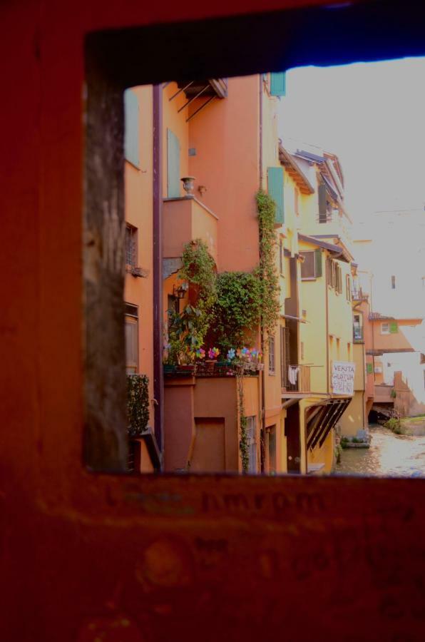 My Home In Bologna - La Rossa 외부 사진